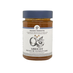 Saumur d'Anjou early apricot - 1