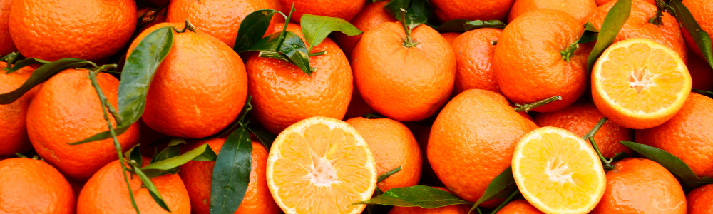 Clementine jam