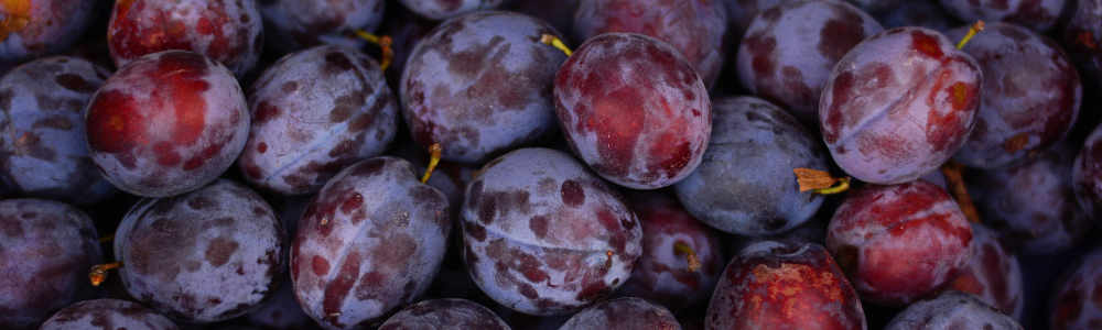 Plum
